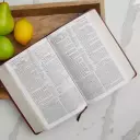 KJV Study Bible, Black, Leather, Large Print, Second Edition