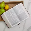 KJV Study Bible, Black, Leather, Large Print, Second Edition