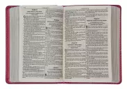 KJV Pocket Bible, Pink, Imitation Leather, Gift, Ribbon Marker, Lay-Flat Spine, Gilt Edges, Scripture Verse Finder, One Year Reading Plan