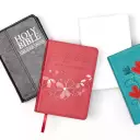 KJV Pocket Bible, Pink, Imitation Leather, Gift, Ribbon Marker, Lay-Flat Spine, Gilt Edges, Scripture Verse Finder, One Year Reading Plan