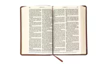 KJV Giant Print Bible, Brown, Imitiation Leather, Red Letter, Reading Plan, Thematic Verse Finder, Gitl Edged, Ribbon Marker, Concordance, Maps, Cross-Reference