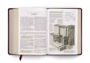 ESV Study Bible Large Print