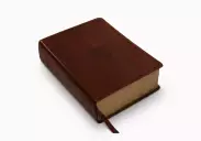 ESV Study Bible, Imitation Leather, Illustrated, Maps, Study Guides, Articles, Concordance,