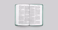 ESV Premium Gift Bible (Trutone, Teal, Floral Design)
