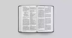 ESV Large Print Value Thinline Bible