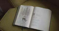 ESV Illuminated™ Bible, Art Journaling Edition (Hardcover)