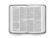 ESV Vest Pocket New Testament with Psalms and Proverbs, TruTone®, Silver, Sword Design