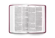 ESV Premium Gift Bible (TruTone, Raspberry, Emblem Design)
