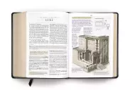 ESV Study Bible, Large Print