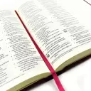 Hosanna Revival ESV Journaling Bible: Eden Theme