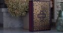 ESV Illuminated Scripture Journal Gospels, Burgundy, Gospels, Illustrated, Journaling, Wide Margins, Slipcase