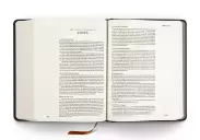 ESV Single Column Journaling Bible, Artist Series (Hardcover, Joshua Noom, The Lion and the Lamb)