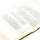 Hosanna Revival ESV Journaling Bible: Leona Theme