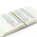 Hosanna Revival ESV Journaling Bible: Hallstatt Theme