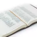 Hosanna Revival ESV Journaling Bible: Westminster Theme