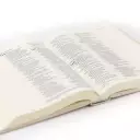 Hosanna Revival ESV Journaling Bible: Capestrano Theme