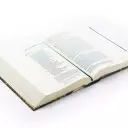 Hosanna Revival ESV Large Print Journaling Bible: Hollis Theme
