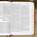 KJV Everyday Study Bible