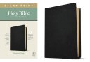 NLT Filament Giant Print, Bible, Black, Leather, Personal Size, App Content, Red Letter, Devotional, Study Notes, Videos, Maps, Articles, Profiles, Worship Music Library, Presentation Page, Ribbon Marker
