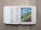 NIV Journalling Bible Illustrated by Hannah Dunnett (new edition)