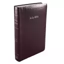 CEB Common English Bible Gift & Award Burgundy Red Letter Edition