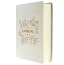 The Message Bible Journalling Bible, White, Canvas, Paraphrase, Hand Drawn Illustrations, Lettered Bible Verses, Colouring