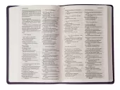 The Message Bible, Deluxe Gift Edition, Bible, Purple, Imitation Leather, Paraphrase, Presentation Page, Maps, Ribbon Marker