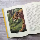Bath Classics - The Jungle Book (Illustrated Children's Classics)