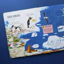 Large Question-And-Answer Flap Book - Animals