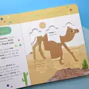 Little Wonders Puzzle Slider Books - Desert Animals