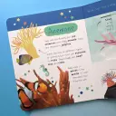 Little Wonders Puzzle Slider Books - Sea Animals