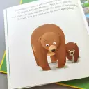 Me And My Feelings Board Book - When Bear Feels Worried