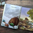 Children's Storybook Bible