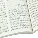 Arabic - New Testament