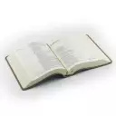 Hosanna Revival NLT Notetaking Bible: Marlo Theme