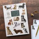 Foldover Writing Paper Set - Patricia Maccarthy Dogs