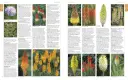 Rhs A-Z Encyclopedia Of Garden Plants 4th Edition