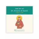 St. Francis of Assisi Pin Badge