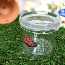 Bug Viewer - The Little Gardener