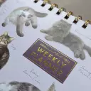 Landscape Weekly Planner And Pen Set - Patricia Maccarthy Cats