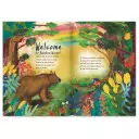 The Bear & the Colour Thief Children's Book