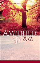 Amplified Bible: Paperback