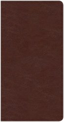CSB Share Jesus Without Fear New Testament, Brown Leathertouch