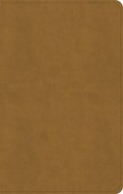 KJV Personal Size Bible, Camel Suedesoft