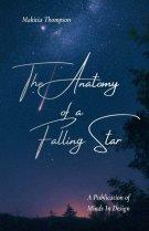 The Anatomy of a Falling Star