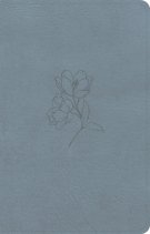 CSB Personal Size Bible, Digital Study Edition, Blue