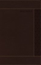NRSVue, Holy Bible, Personal Size, Leathersoft, Brown, Comfort Print