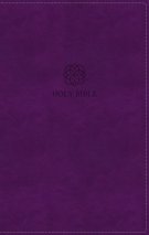NRSVue, Holy Bible, Personal Size, Leathersoft, Purple, Comfort Print