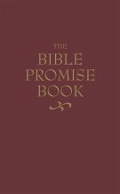 KJV Bible Promise Book