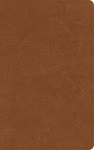 NASB Single-Column Personal Size Bible, Tan Genuine Leather